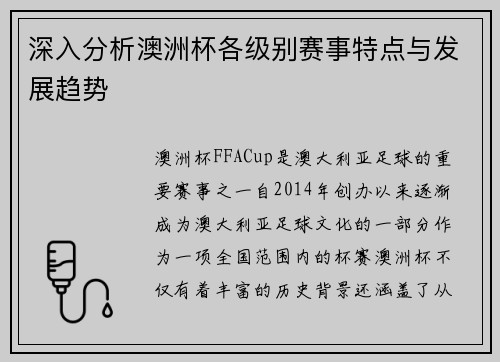深入分析澳洲杯各级别赛事特点与发展趋势